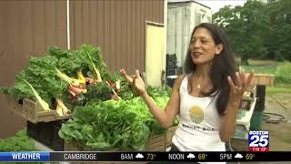 Boston 25 News Market 2day