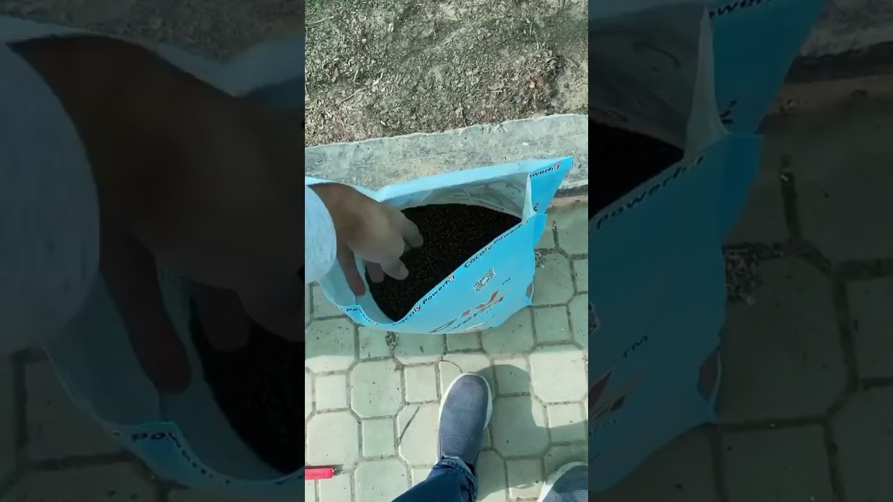 سماد كوكولي العضوي العجيب