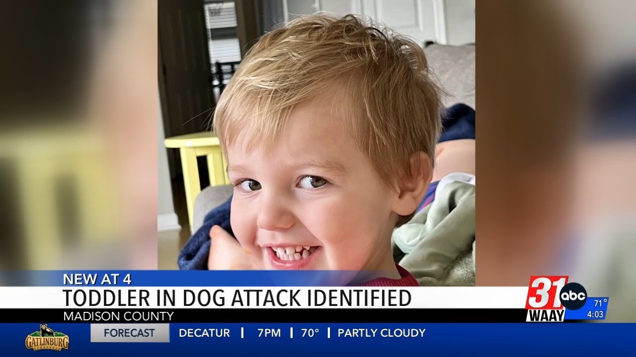 Madison County Sheriff's Office releases name of 2-year-old New Hope boy killed in dog attack