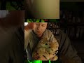 #corviusone on #Twitch | PUPPIES! Share the love