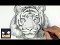 How to draw tiger  youtube studio sketch tutorial