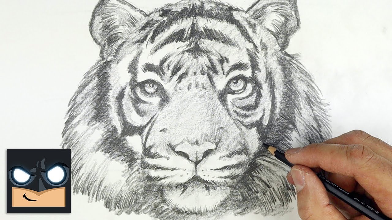 Tiger Face Drawing Image  Drawing Skill