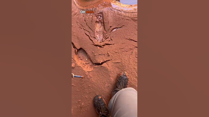 🤔 Don't Believe Everything You See in Movies: Find Out What Quicksand REALLY Looks Like