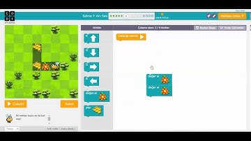 (Code.org)-----Ders1 Sahne 7: Arı: Sıra