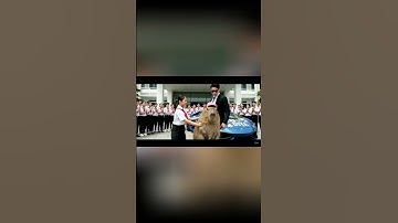 Capybara cứu cô bé khỏi kẻ xấu giả làm tài xế #capybara