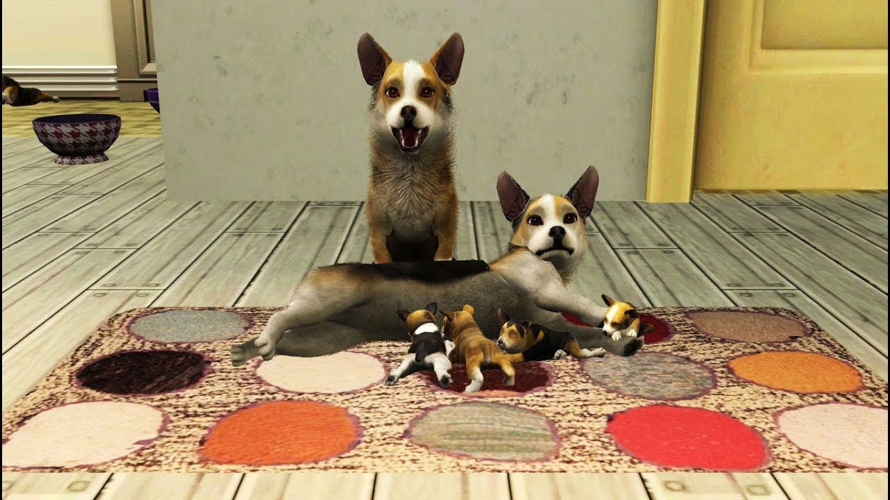 sims 3 dog sliders sims 3 dog sliders