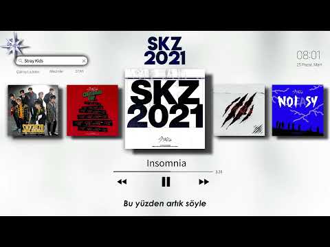 Stray Kids - SKZ2021 \