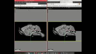 Peer to peer data sharing with Neuroglancer