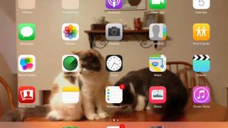Web // How To Rec Screen // [IOS.9.33] screenshot 4