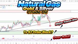 Full Natural Gas FREE FALL to $2 Area|Major Trendline or Next Order Block|Gold, Silver&Crude Oil Update Update