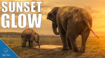 Create a Sunset Glow with Photoshop #66