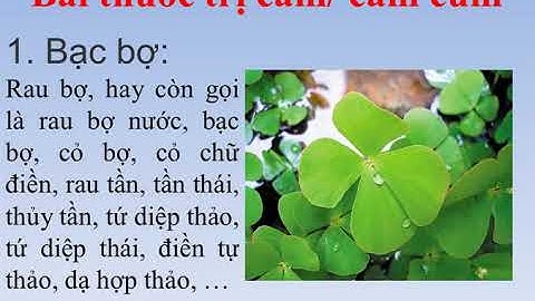 trị cảm (cảm cúm) từ cây thuốc nam