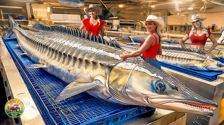 How Millions of Sturgeon Are Harvested and Processed in the Most Luxurious Caviar Farming Industry