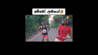 Vini production Aurudu marathan