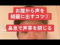 超簡単‼︎【お腹から声を出す方法】鼻息+声帯閉鎖で発声のコツを掴もう!