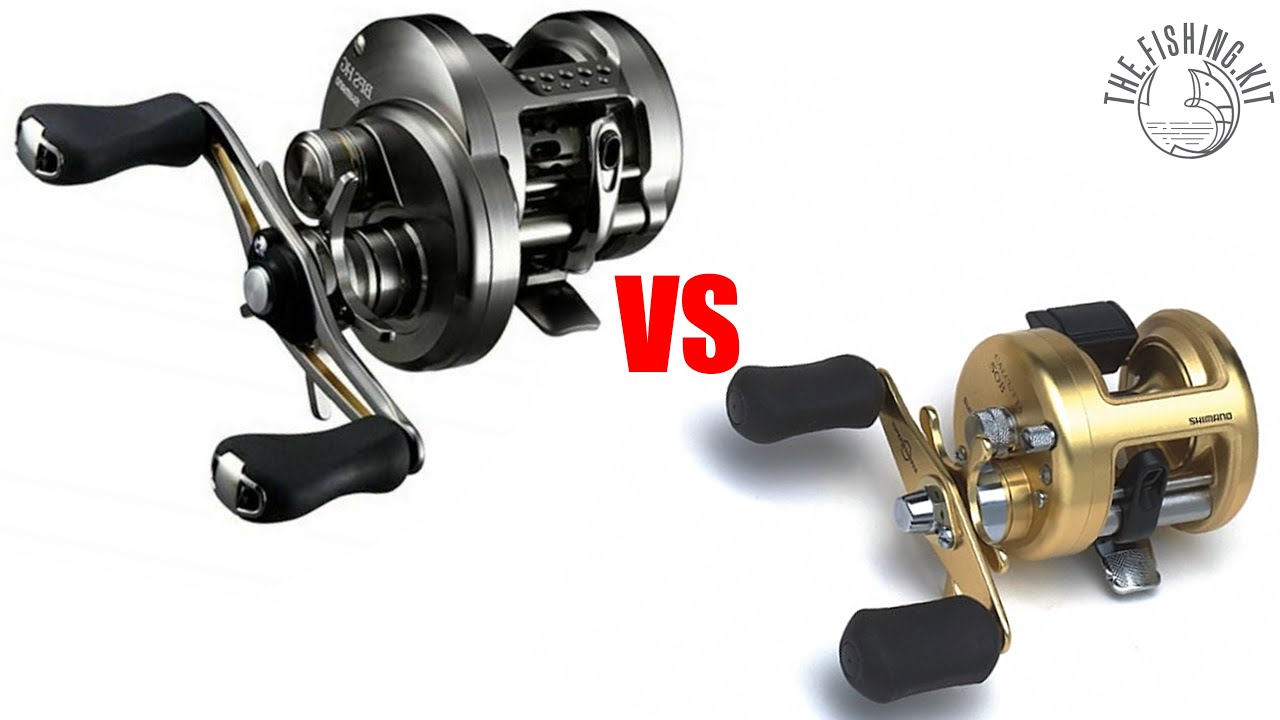 SHIMANO CONQUEST BFS / SHIMANO CALCUTTA 50 COMPARISON 