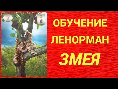 Обучение гаданию на Оракуле Ленорман. Карта Змея.