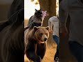 цитаты стетхема #capcut
