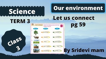 Tn class 3 Term 3 science  let us connect lesson 1 our environment with bookback ex