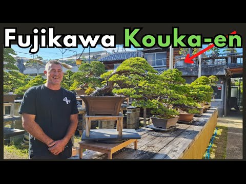 Fujikawa Kouka-en Bonsai Garden Nursery Japan Walk - Through  @BonsaiHarmony - YouTube