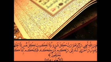 سورة الأنعام 159-165 - الشيخ ماجد الزامل