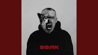 Волк - Саша Незнакомый