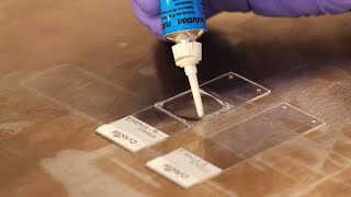 CytoCell solid tumour FFPE FISH protocol - Step 5. Probe application