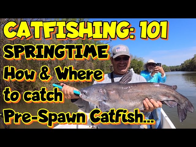 Pre Spawn Springtime Catfishing on the Catawba River How to Catch them and  Where are they at? 
