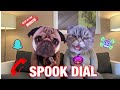 SPOOK DIAL : EPISODE ONE