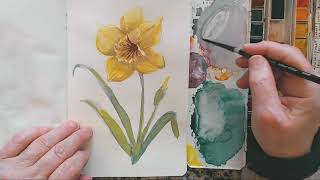 Beginner Easy Watercolor Daffodil Tutorial