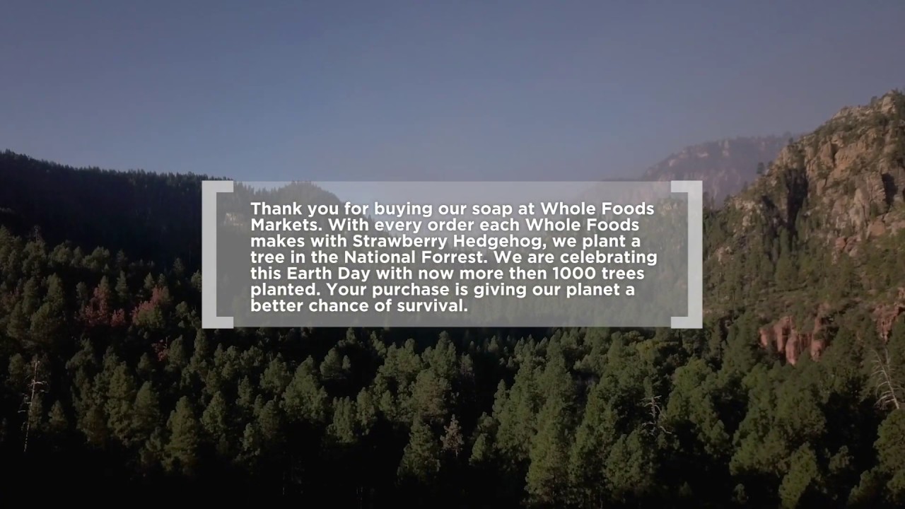 Over 1000 Trees Planted | Everyday is Earthday