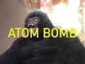 Mike Chick Atom Bomb