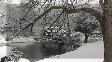 snow on the beach (feat. lana del rey) by taylor swift but it’s snowing