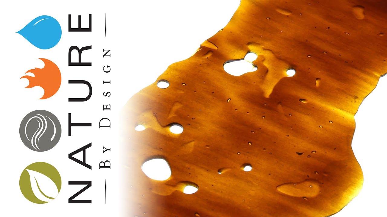 Chocolope - Shatter of the Day