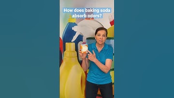 How Does Baking Soda Absorb Odors? #ProCleaningTip #Shorts