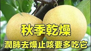 【秋季養肺，飲食7要訣!!】 防秋燥、皮膚不過敏！