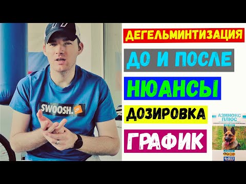 #2 | ДЕГЕЛЬМИНТИЗАЦИЯ СОБАК | ДО И ПОСЛЕ | НЮАНСЫ | ДОЗИРОВКА | ГРАФИК | ДУМАЙ КАК СОБАКА.