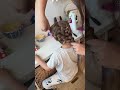 ¿quién quiere el full hairstyle tutorial? 👀 Entre desayunos, peleas y rush para salir… hasta se ...