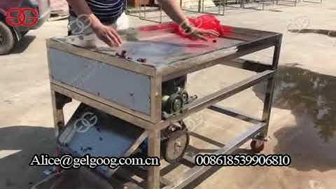 Dry dates cutting machine