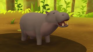 Pygmy Hippo - Leo The Wildlife Ranger Minisode