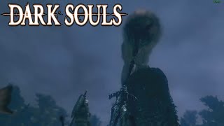 Dark Souls : Prepare to Die Edition - Sif Boss Fight After DLC.