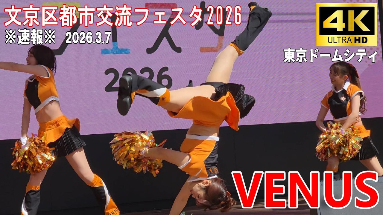 【4K Japan】※速報※ 2026.3.7  文京区都市交流フェスタ『ヴィーナス＆ジャビット』#東京ドームシティ    #ジャイアンツ    #チアリーディング