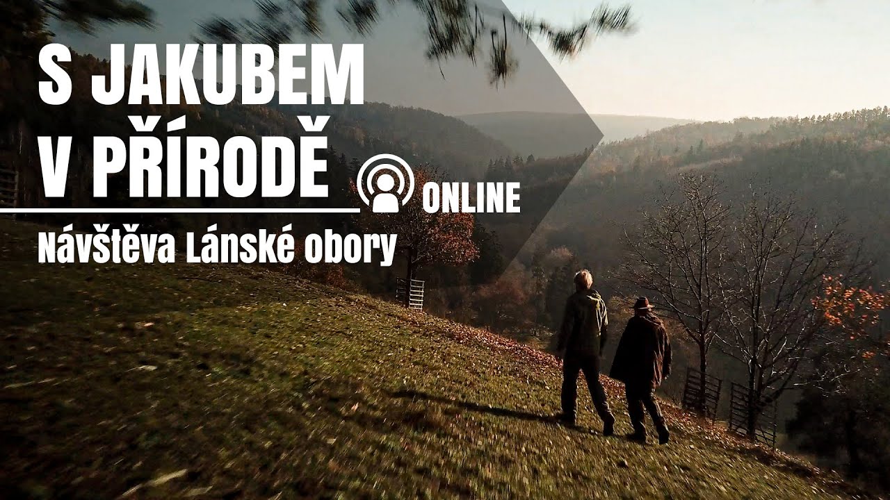 S Jakubem v přírodě online - Návštěva Lánské obory