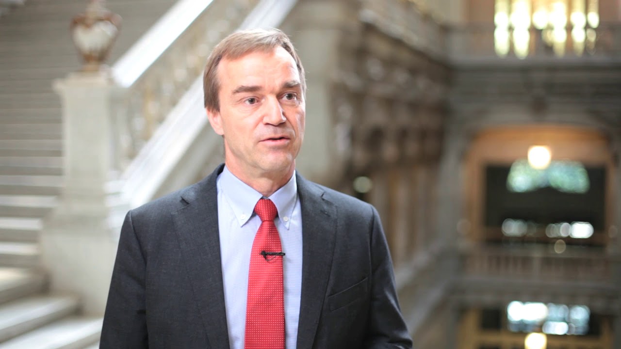 ADEMU - The role of the European Stability Mechanism in stabilising the Eurozone