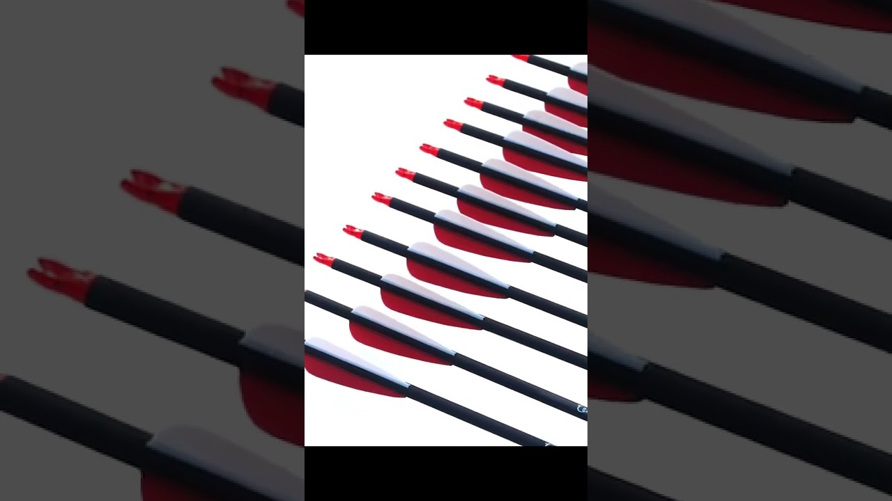 28/30/31" Archery Carbon Arrow