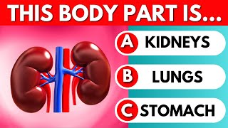 Guess The Human Body Part Quiz | How Many Human Body Parts Can You Guess?