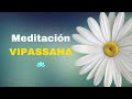 🧘‍♀️ Meditación Vipassana guiada