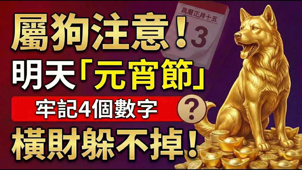 生肖狗：明天3月3號正月十五「元宵節」，你的偏財旺，這「4個數字」要牢記，讓你橫財擋不住！#生肖狗2026運勢 #元宵節 #偏財 #2026屬狗運勢 #財運 #招財數字 #改運 #幸運數字 #正月十五