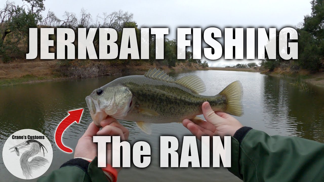 Jerkbait Bass Fishing in the Rain