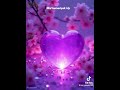 මල් කුමාරියක් #haveitoldyoulatelythatiloveyou #love #sinhalasongs #shortvideo